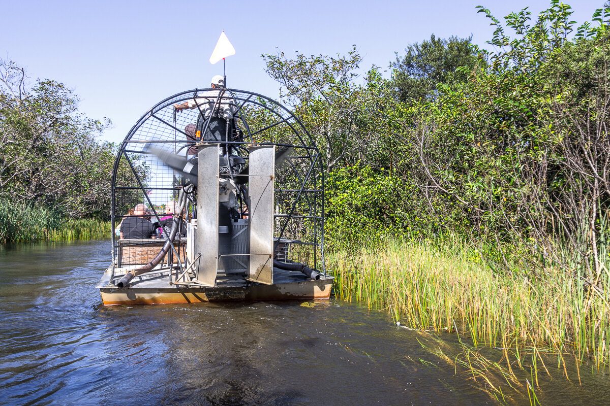 Sortie bateau aux Everglades : quelle est la meilleure ?