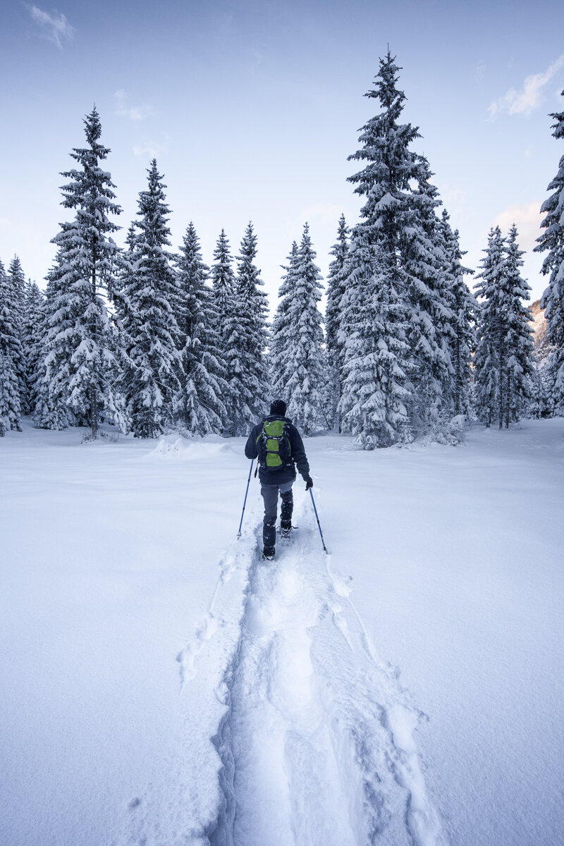 Balade dans la forêt enneigée à Kiruna