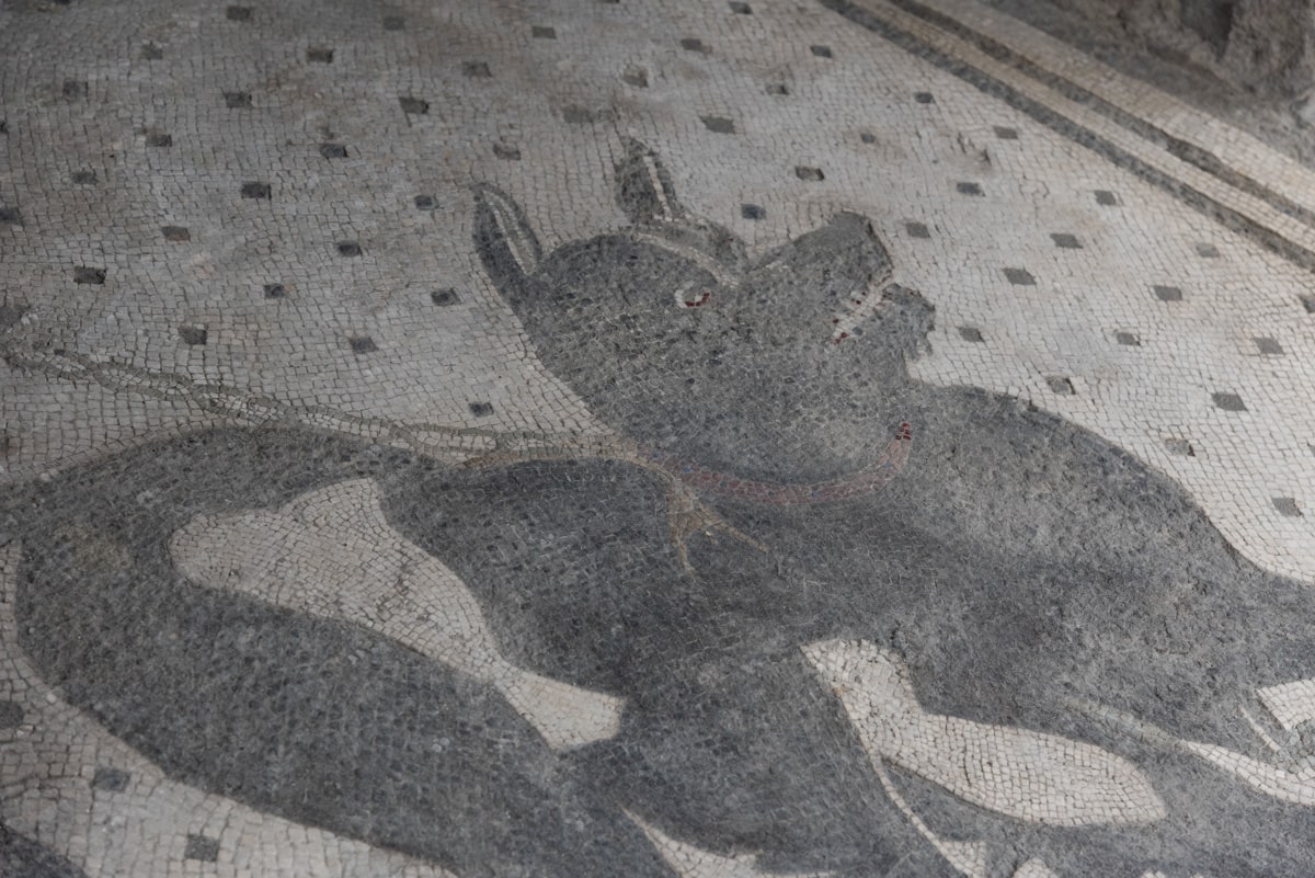 Mosaïque de chien enchaîné à Pompéi