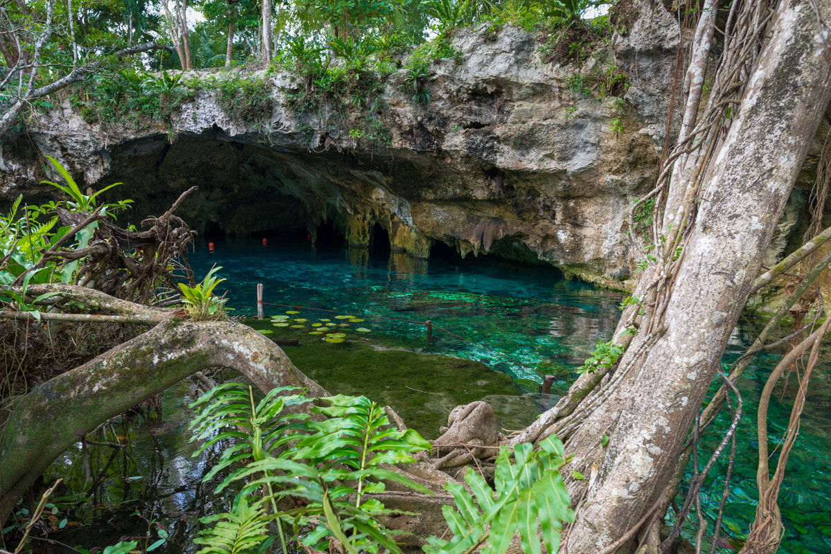 Gran Cenote près de Cancun dans le Yucatan