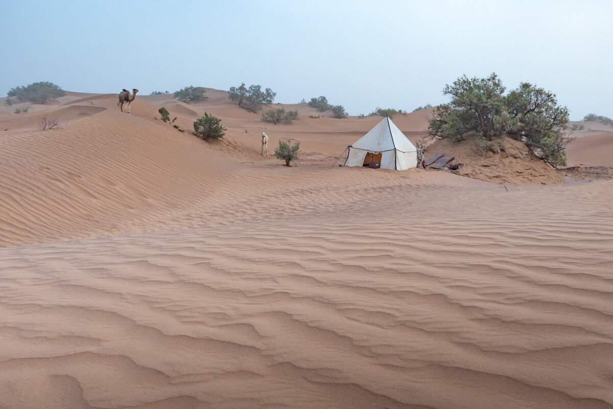 Campement dans le désert de Mhamid