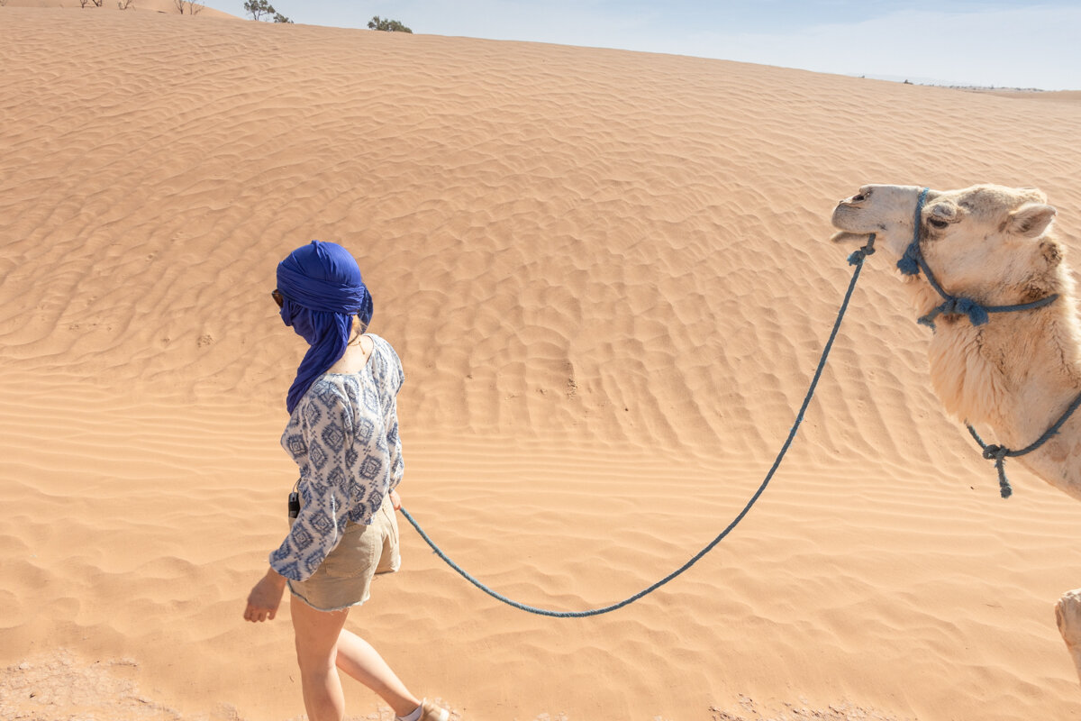 Marche avec un dromadaire dans les dunes du désert au Maroc