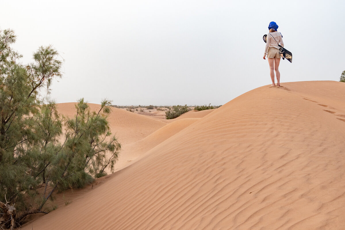 Au sommet d'une dune dans le désert du Maroc avec une planche de sandboard