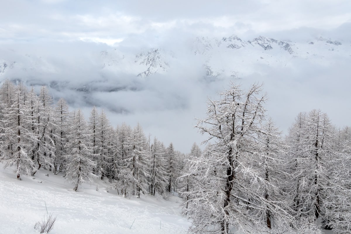 Montagne et arbres enneigés, Megève