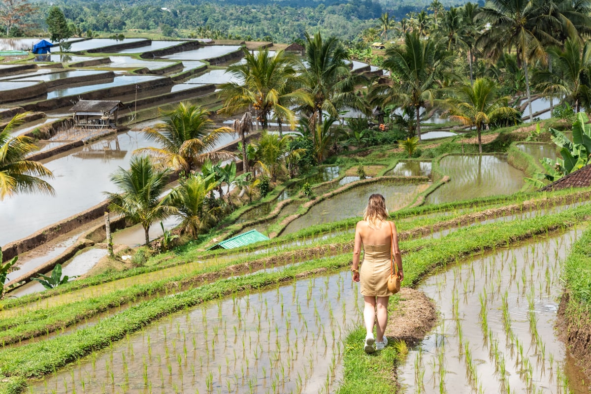 Balade dans les rizières, Bali