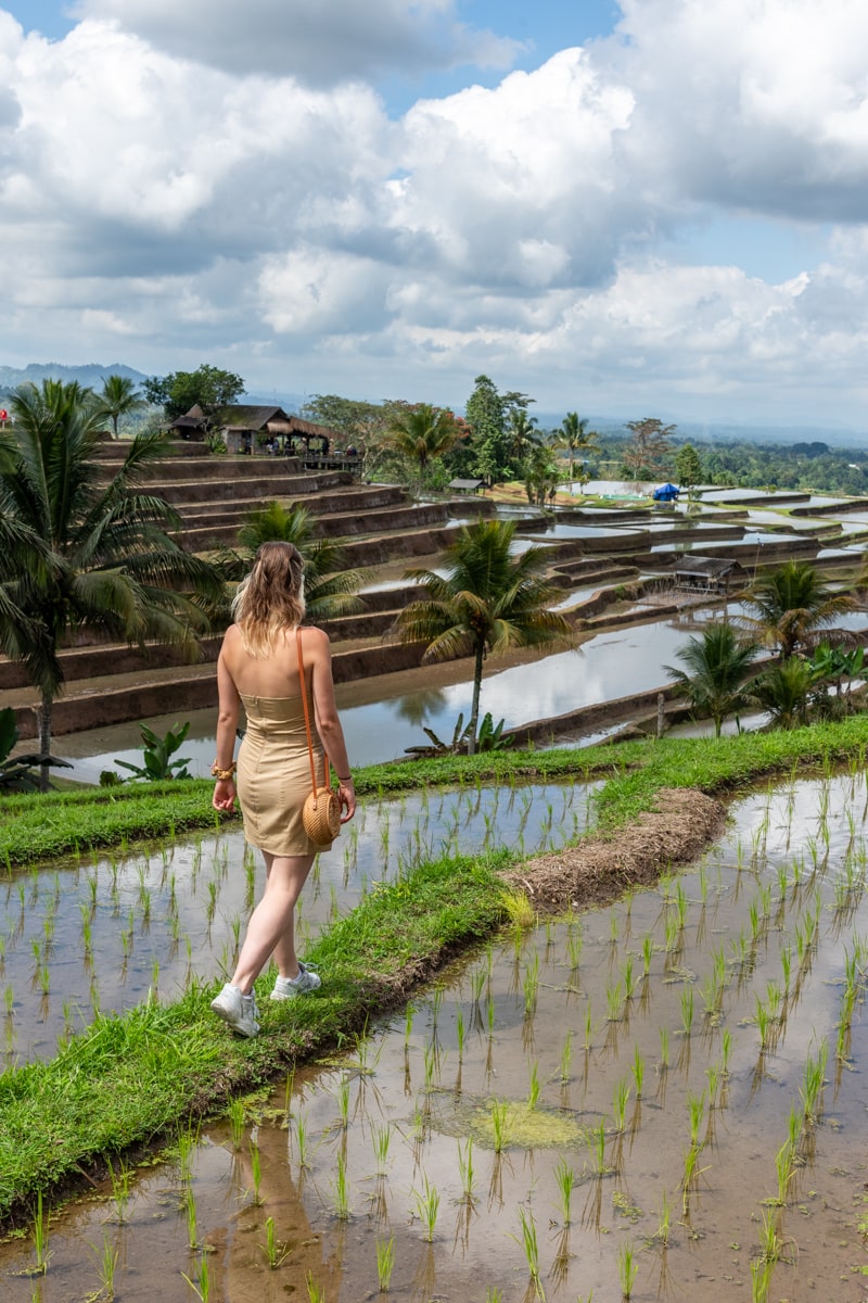 marche dans les rizières de Bali