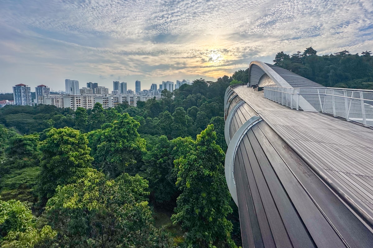 Henderson Waves, Singapour
