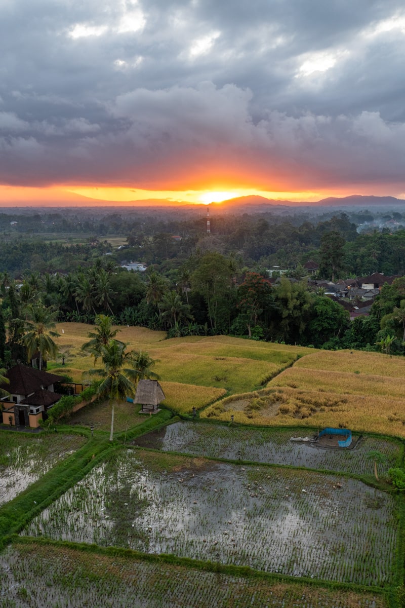 Vue sur les rizières et le coucher de soleil depuis la montgolfière, Bali