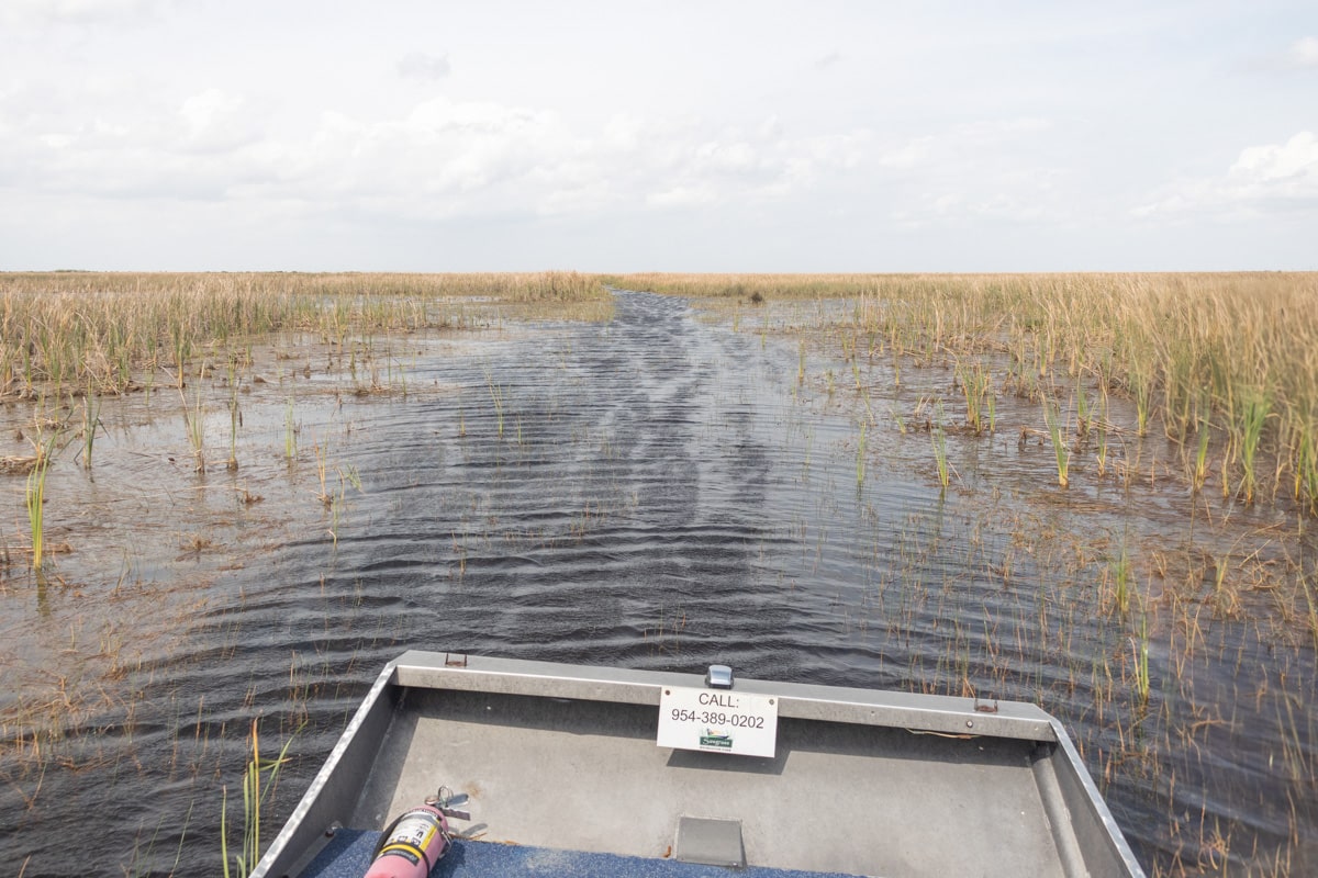 Bateau avec 3 chemins différents dans les everglades