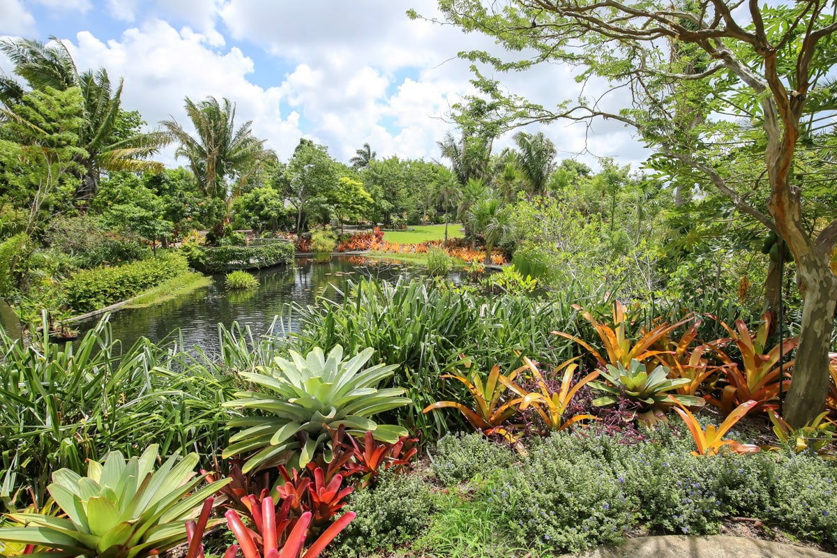 Parc avec des grandes plantes à Naples