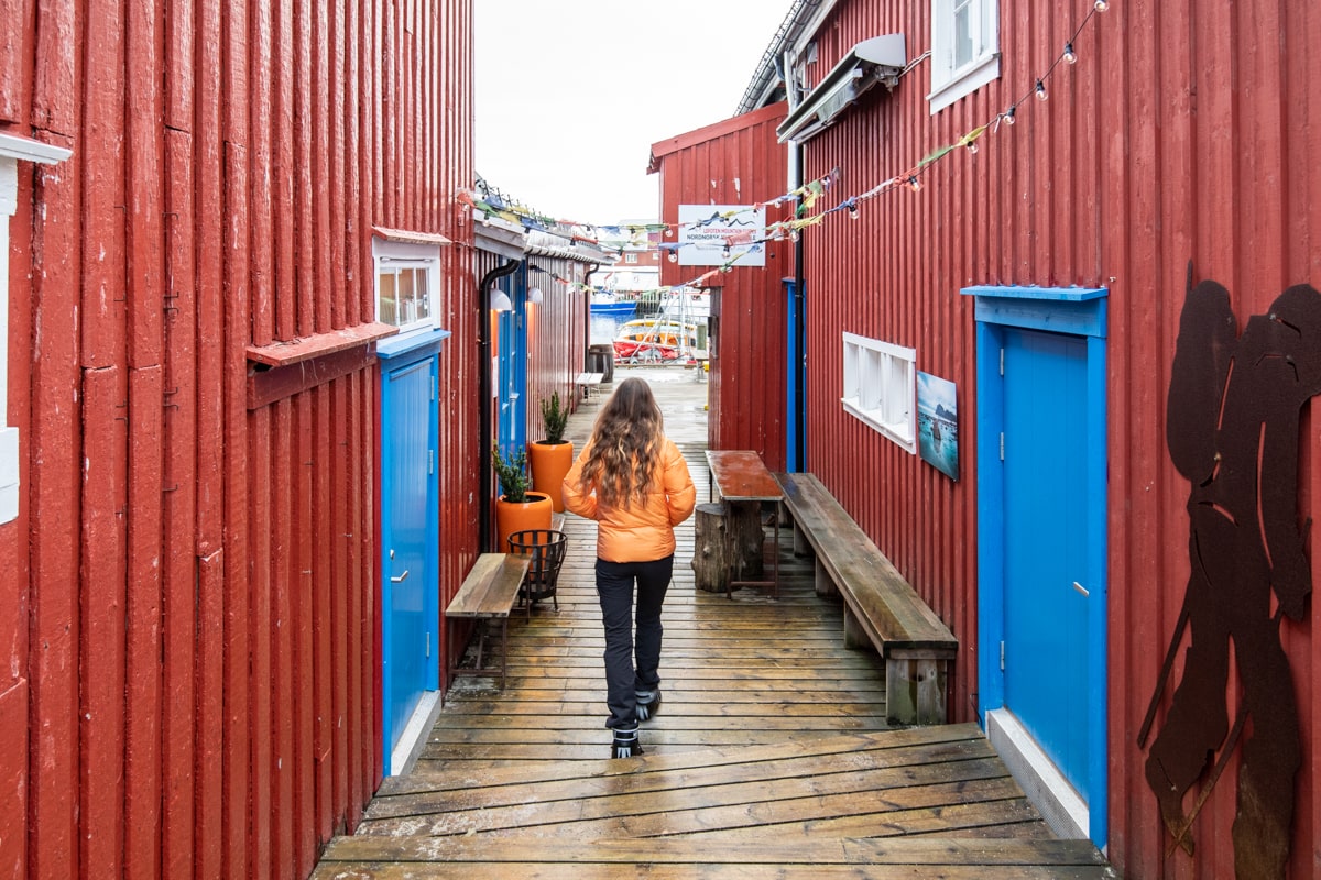 Personne qui marche entre les rorbuer à Henningsvaer dans les Lofoten