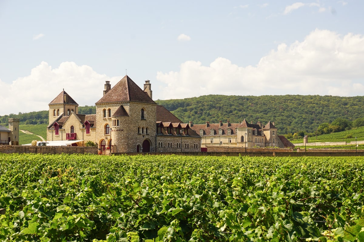 Vignes de Bourgogne