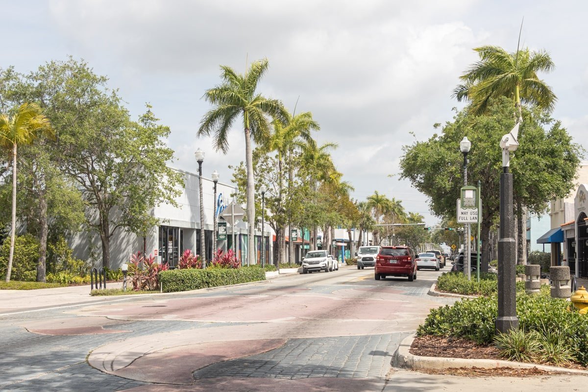 Une avenue calme bordée de palmiers