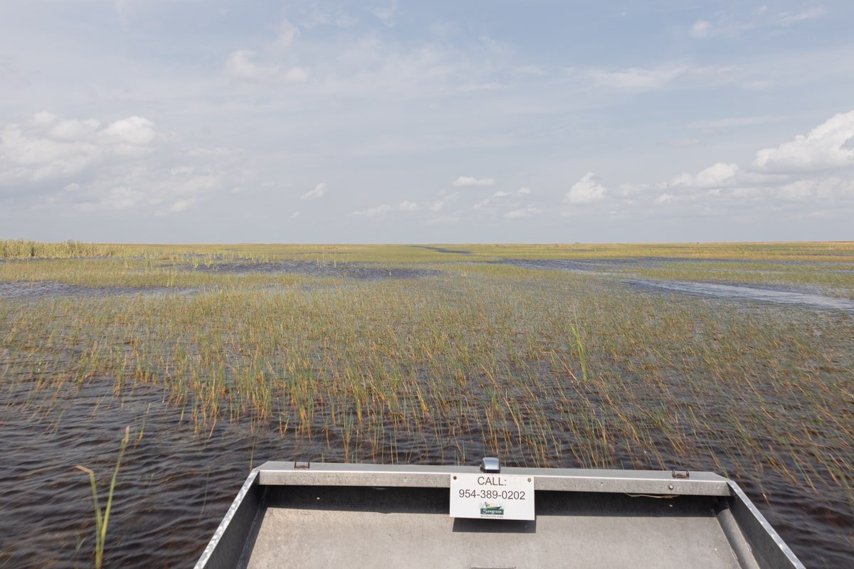Étendue d'eau dans les marécages