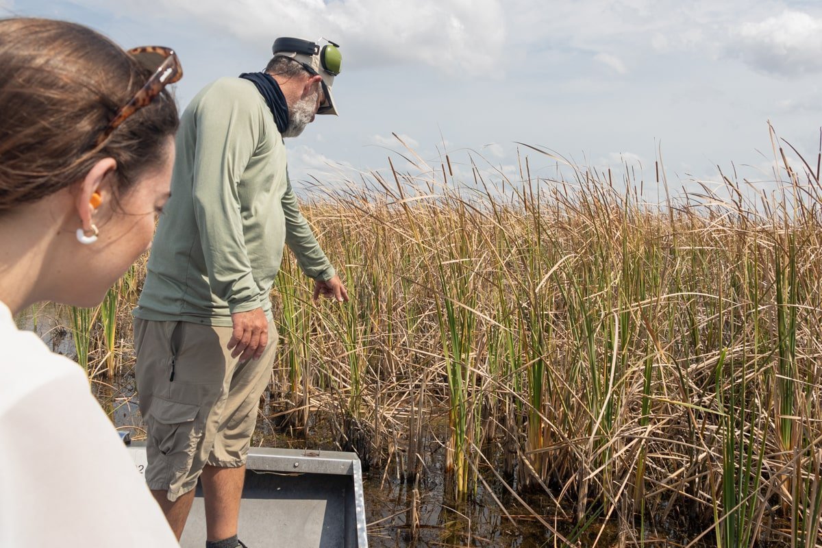 Un guide qui donne des explications sur la faune