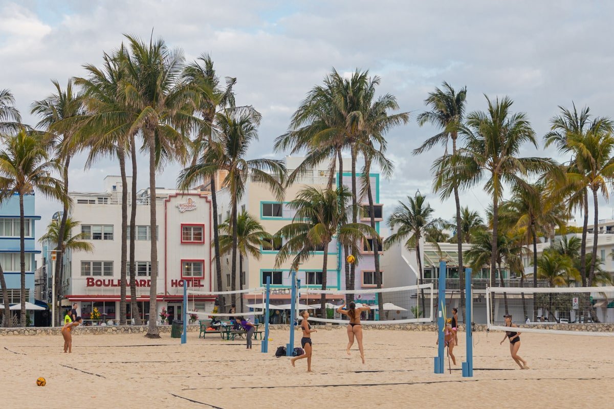 Jeu de volley sur la plage et devant des palmiers