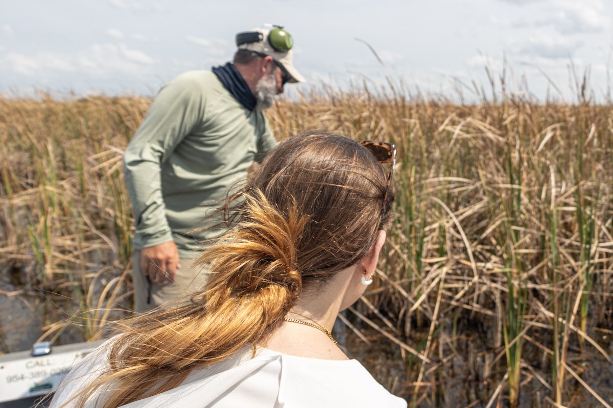 Guide donnant des informations sur la faune observée