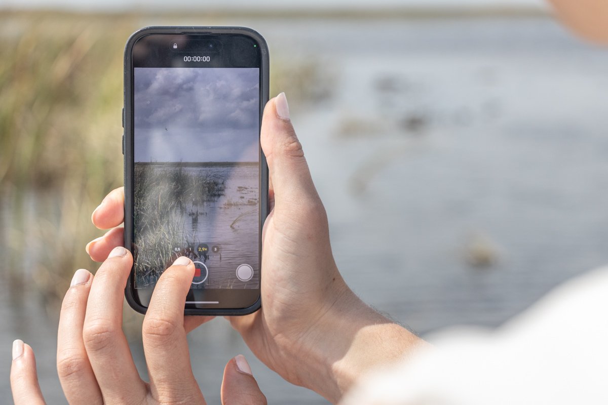 Femme qui prend en photo la faune nichée dans les marécages