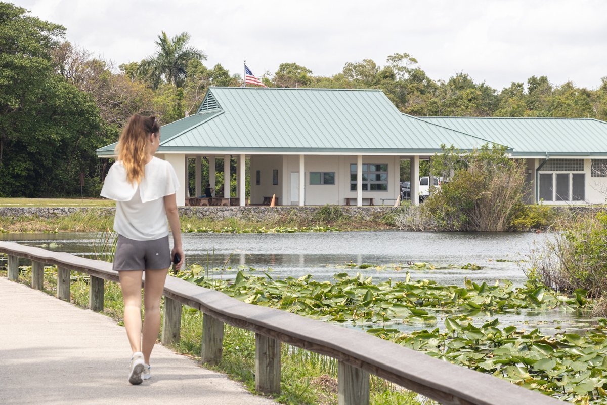 Femme qui se promène dans les Everglades sur un ponton au bord des marécages