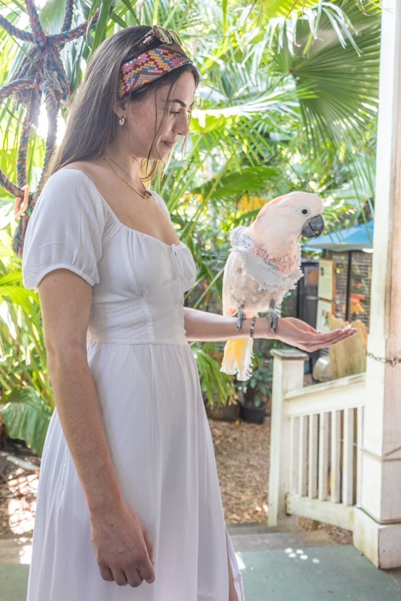 Femme avec un perroquet blanc sur le bras