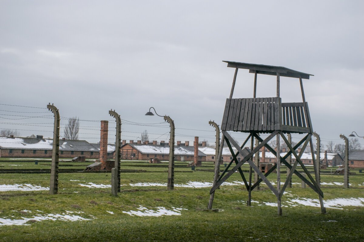 Barbelés à Birkenau