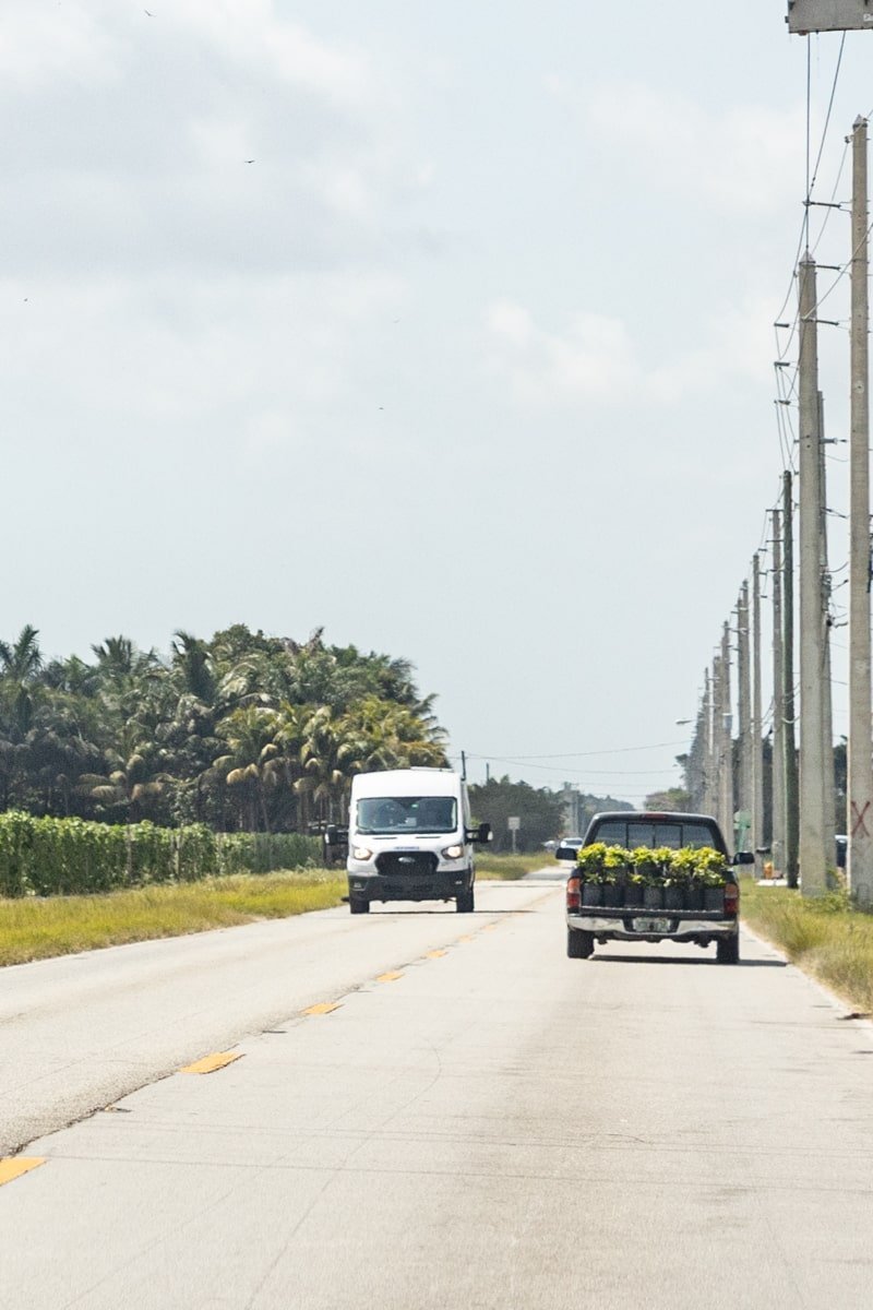 Voitures sur une route de Floride