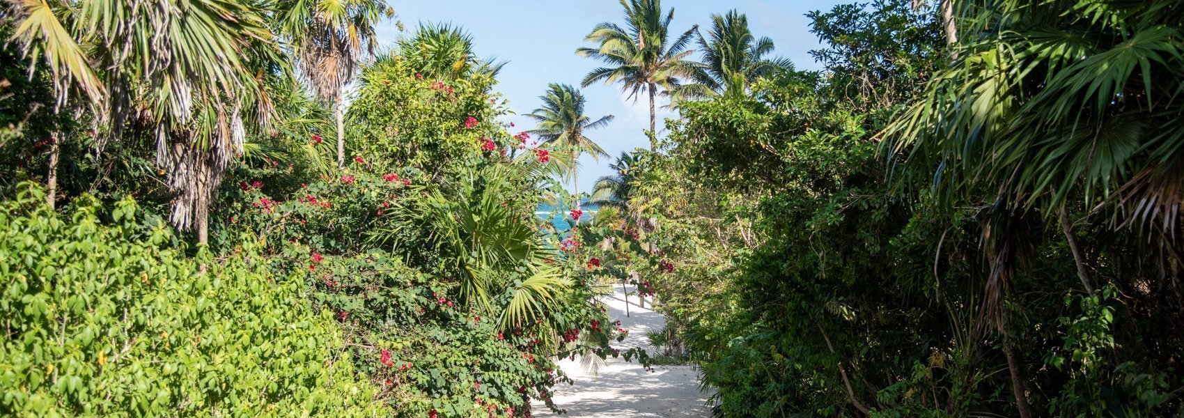 Que faire à Tulum ?