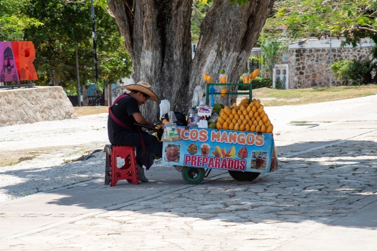 Vendeur de mangues, bacalar, mexique